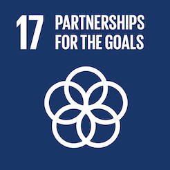 UN SDG 17